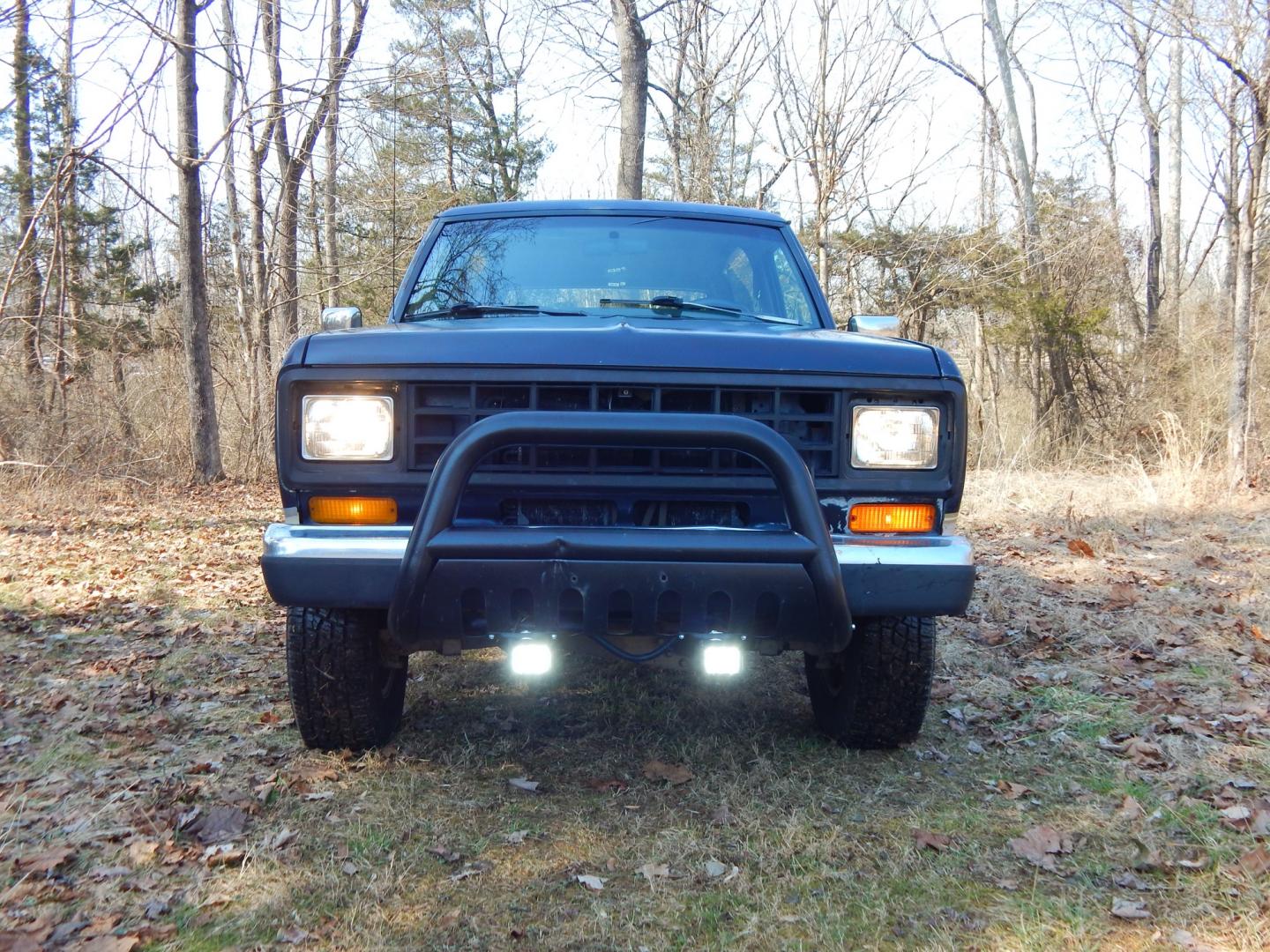 1988 Blue /Tan Ford Bronco II 4WD (1FMCU14T6JU) with an 2.9L V6 OHV 12V engine, 4-Speed Automatic Overdrive transmission, located at 6528 Lower York Road, New Hope, PA, 18938, (215) 862-9555, 40.358707, -74.977882 - Here we have a 1988 Ford Bronco 2 with a 2.9L V6 putting power to a 4x4 automatic transmission. Options include: tan cloth interior, heat/AC, XD Vision radio, power windows, cruise control, tilt steering wheel, front/rear defrost windows, spare tire cover, 15 inch alloy wheels with 4 Solarus AP tire - Photo#7